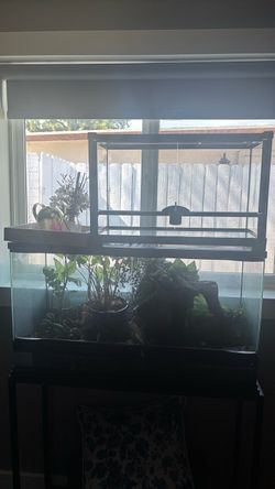 Reptile Terrariums