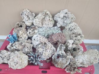 Dead reef rock