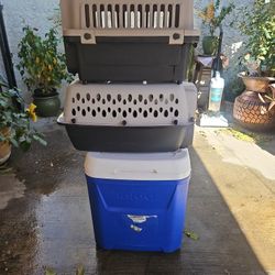 2 cat  cages jaulas y yelera 