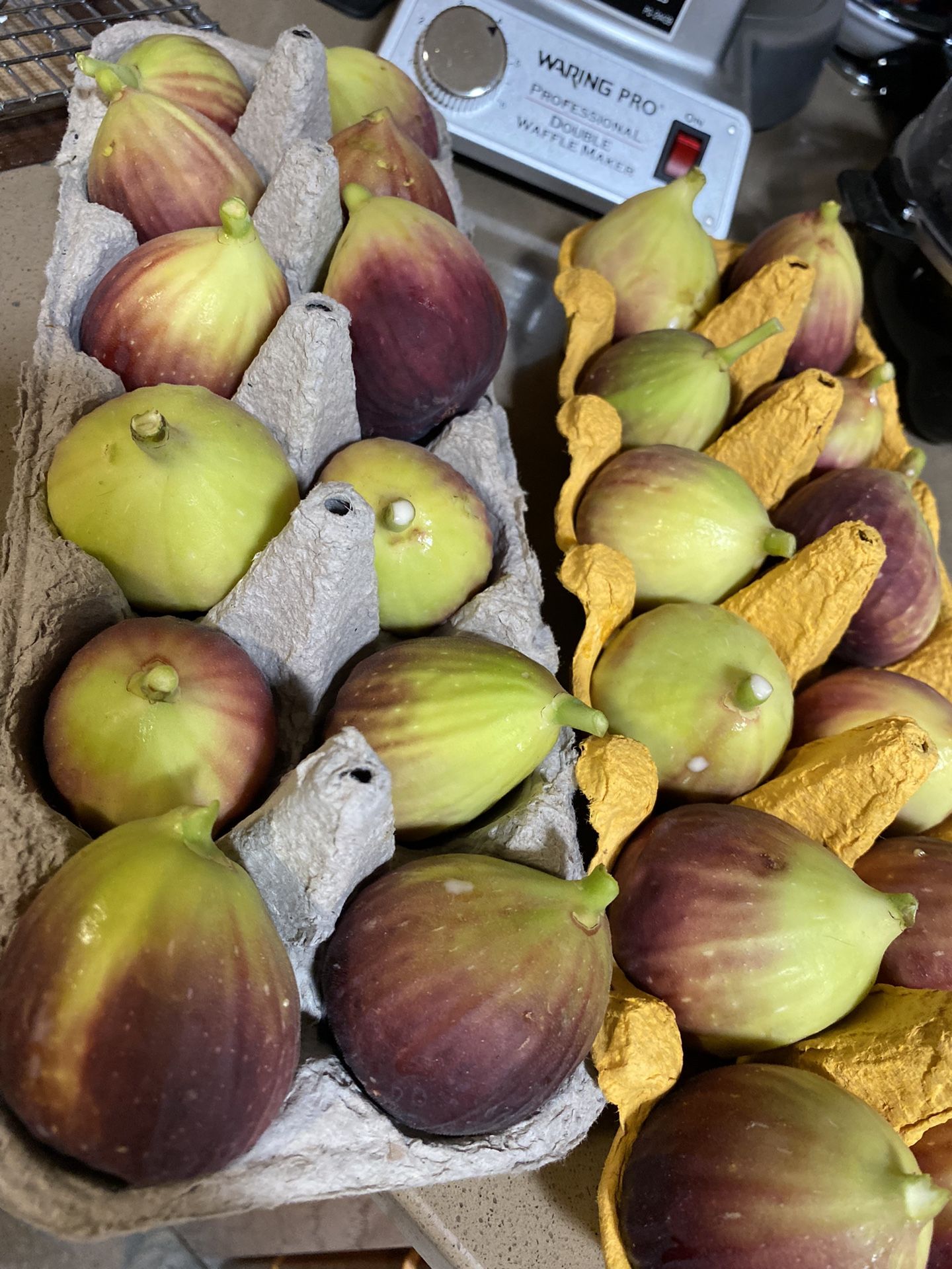 fresh figs