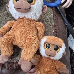 Monkeys Teddy Bear 🧸 