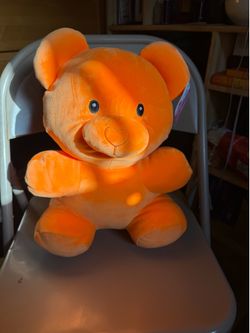 Teddy bear plushy
