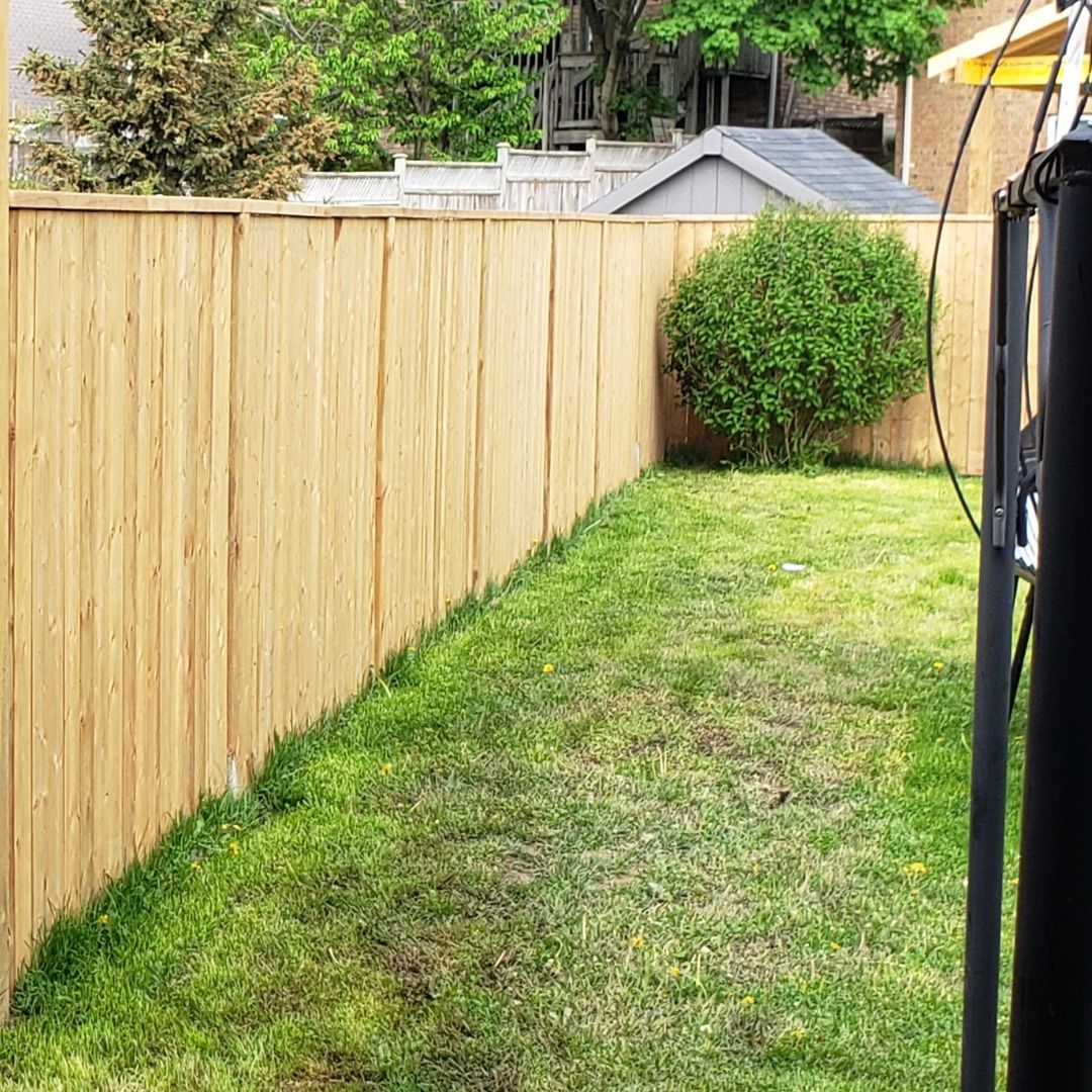 Privacy Fence