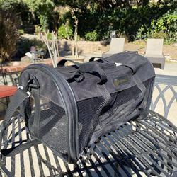 Black Collapsible Pet Carrier With Pad