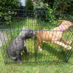 Large Two Sided Dog Cage