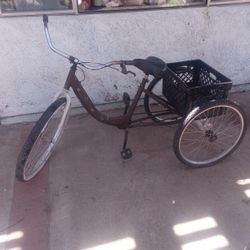 Trike Bicycle