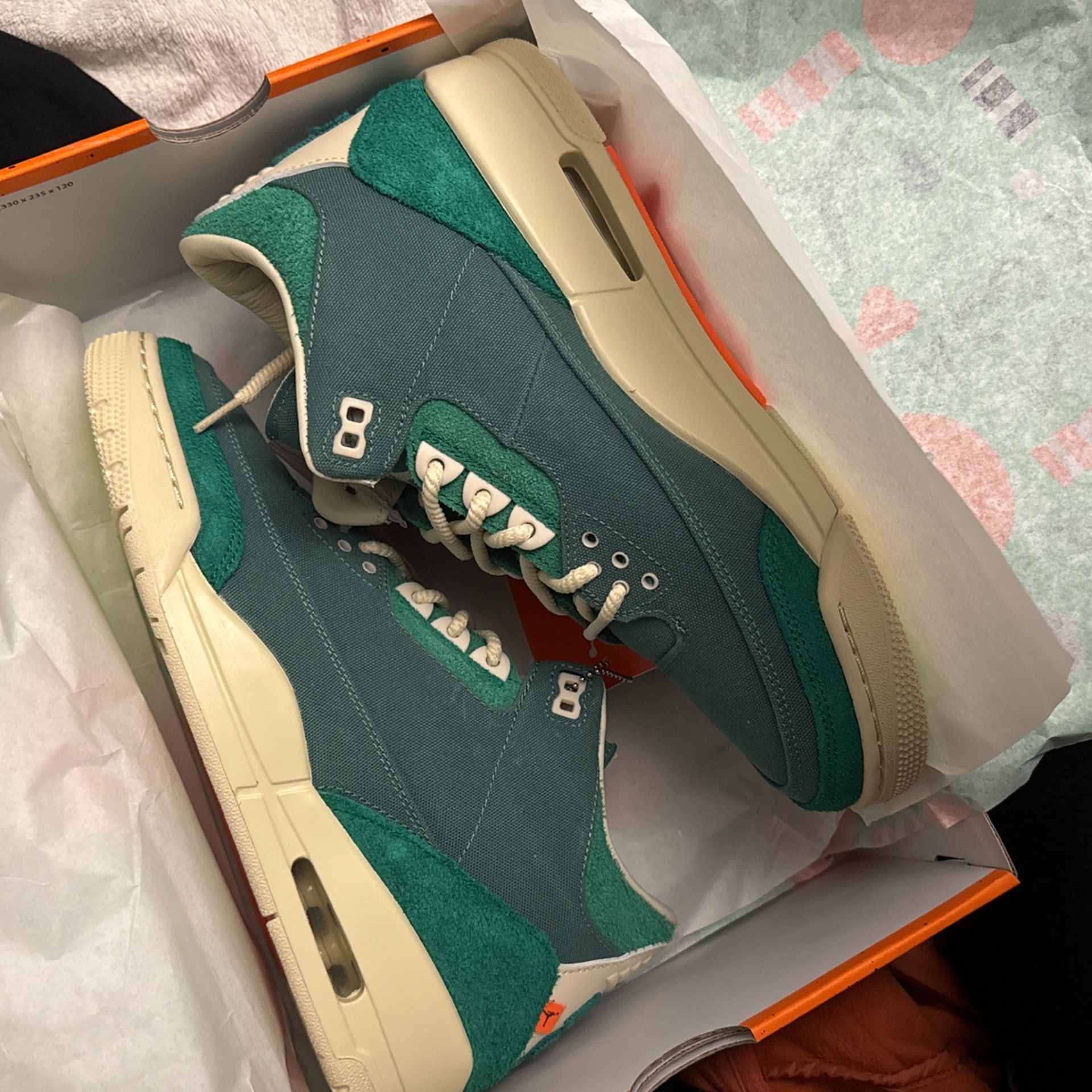 Nike Air Jordan 3 Chanel Bicostal Green