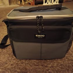 Igloo Cooler 