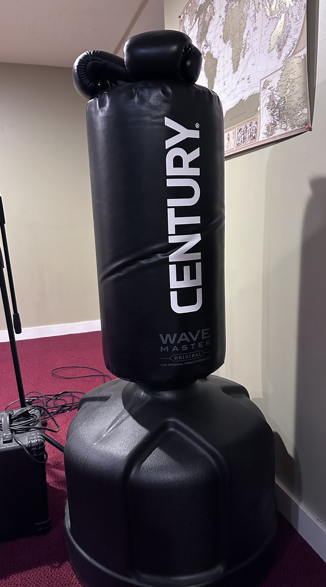 Century Wavemaster Punching Bag