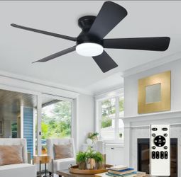 Ventilador de techo de 42 Pulgadas Negros para Dormitorio Interior Exterior