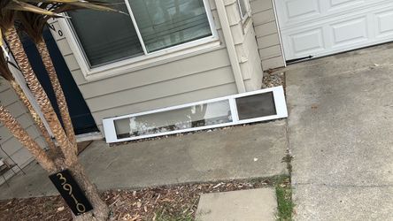 Doggy door