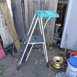 Costco safety ladder