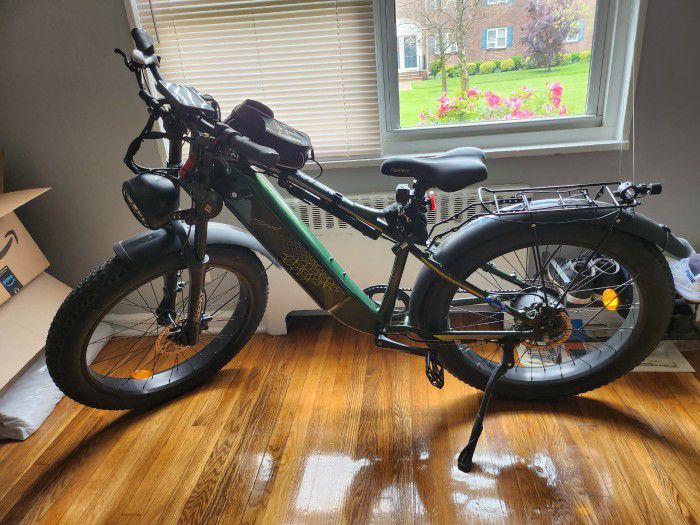 750W Electric Bicycle