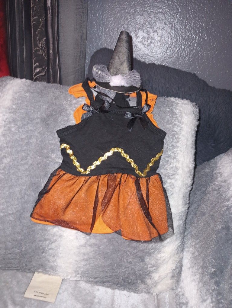 Dog Witch Costume