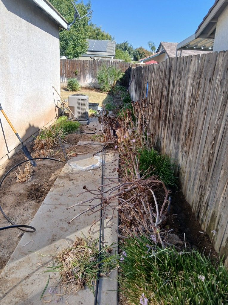 Lawn And Sprinkler