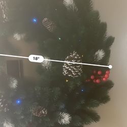 Christmas Tree And Reef 