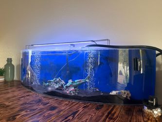 Fish tank