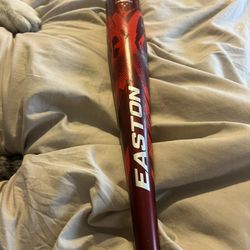 Easton Baseball Bat 31”