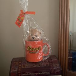 Recess Mug and Stuff Animal