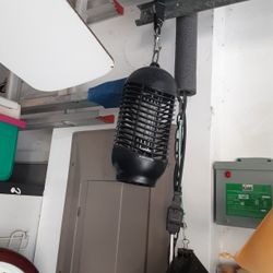 Bug Zapper 