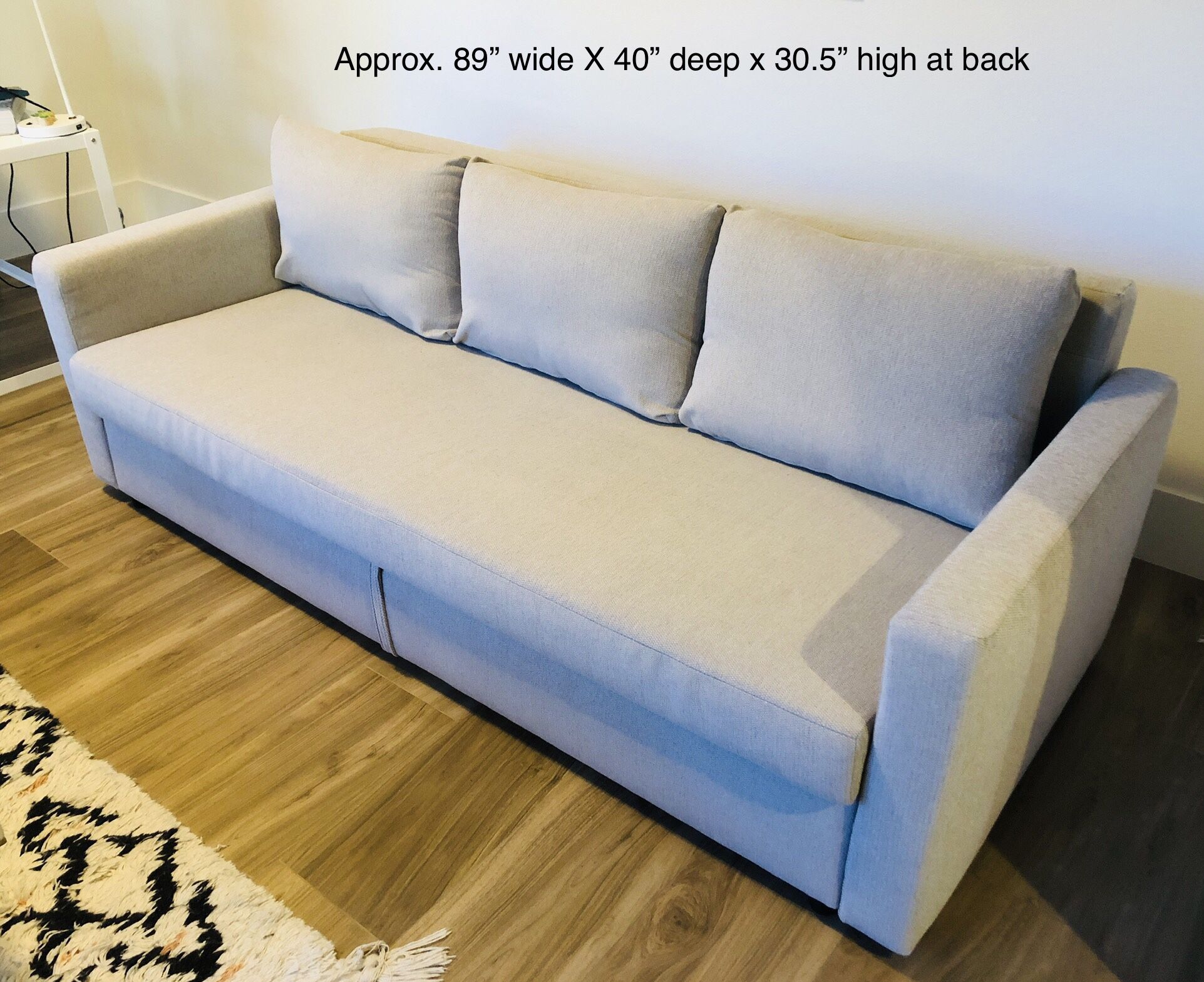 Sofa / Sleeper Sofa - Like New