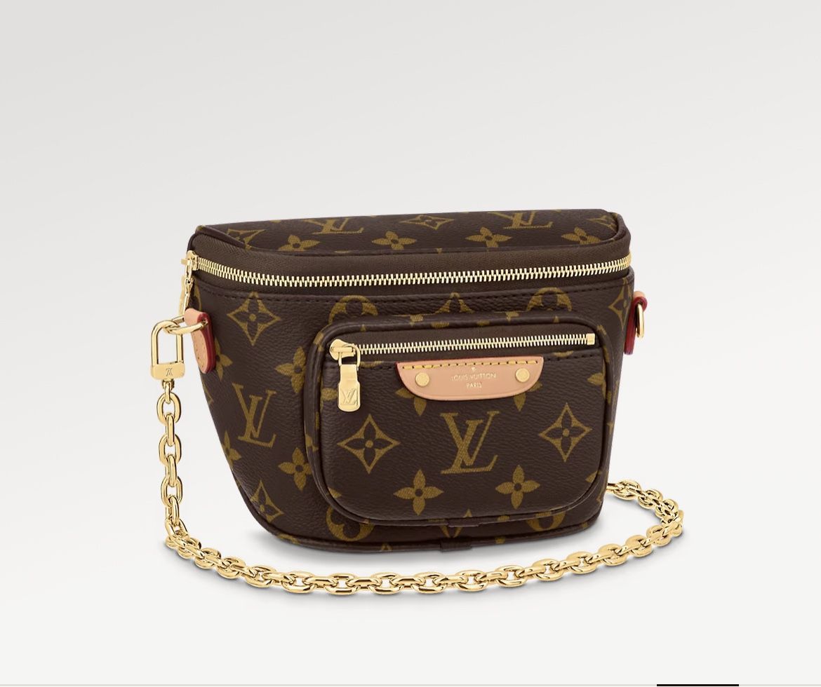 Louis Vuitton mini Bum Bag for Sale in Los Angeles, CA OfferUp
