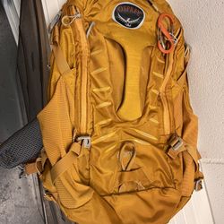 Osprey Comet Backpack