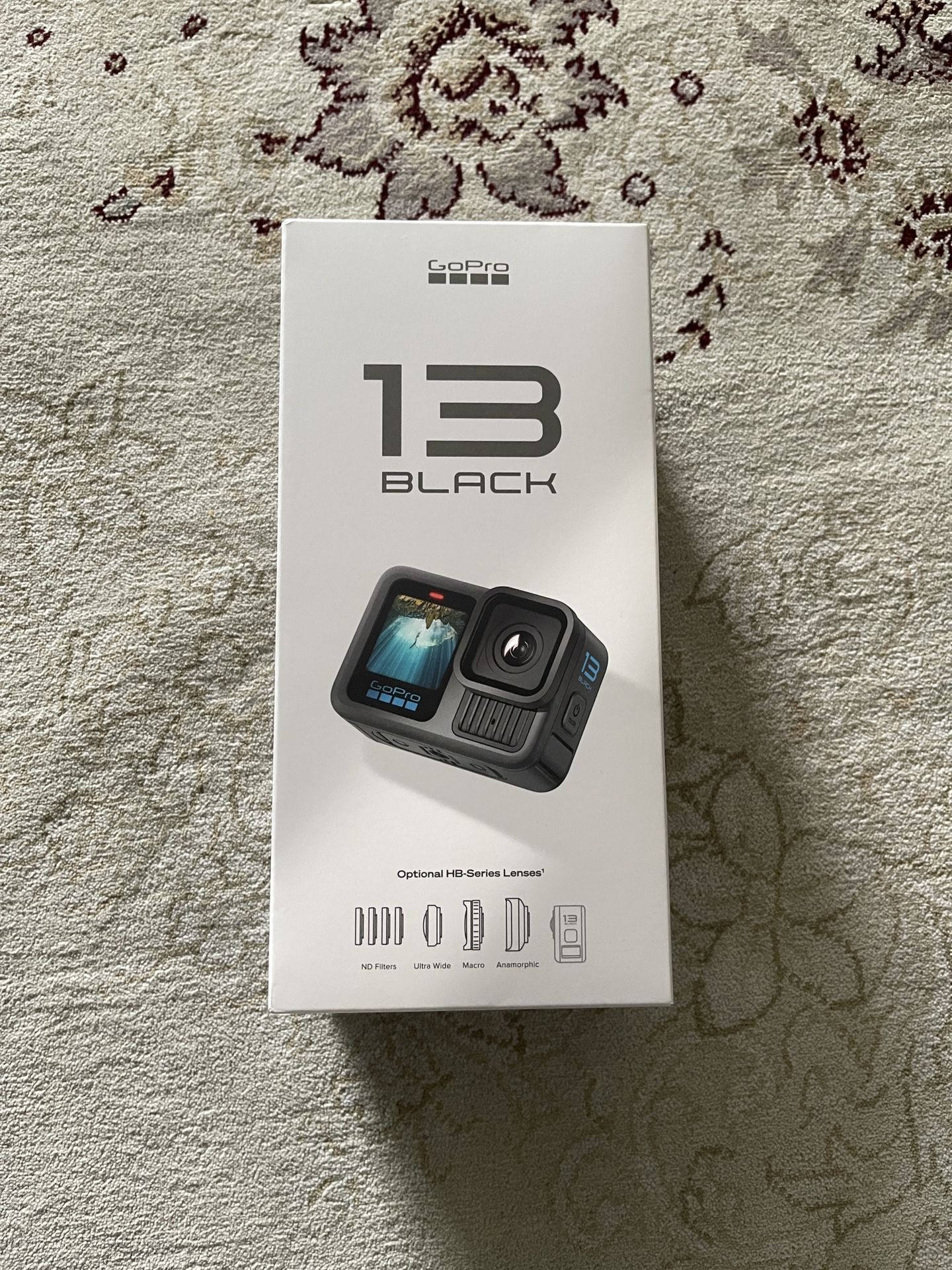 GoPro HERO13