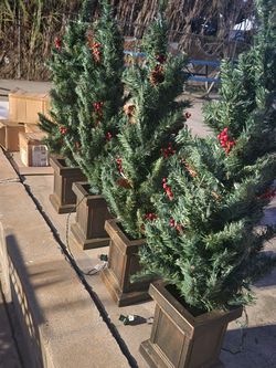 Decorar Tu Patio En Esta Navidad