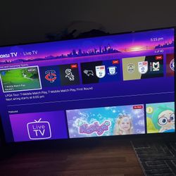 65 Roku Tv 