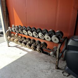 Pro Style Dumbbells 