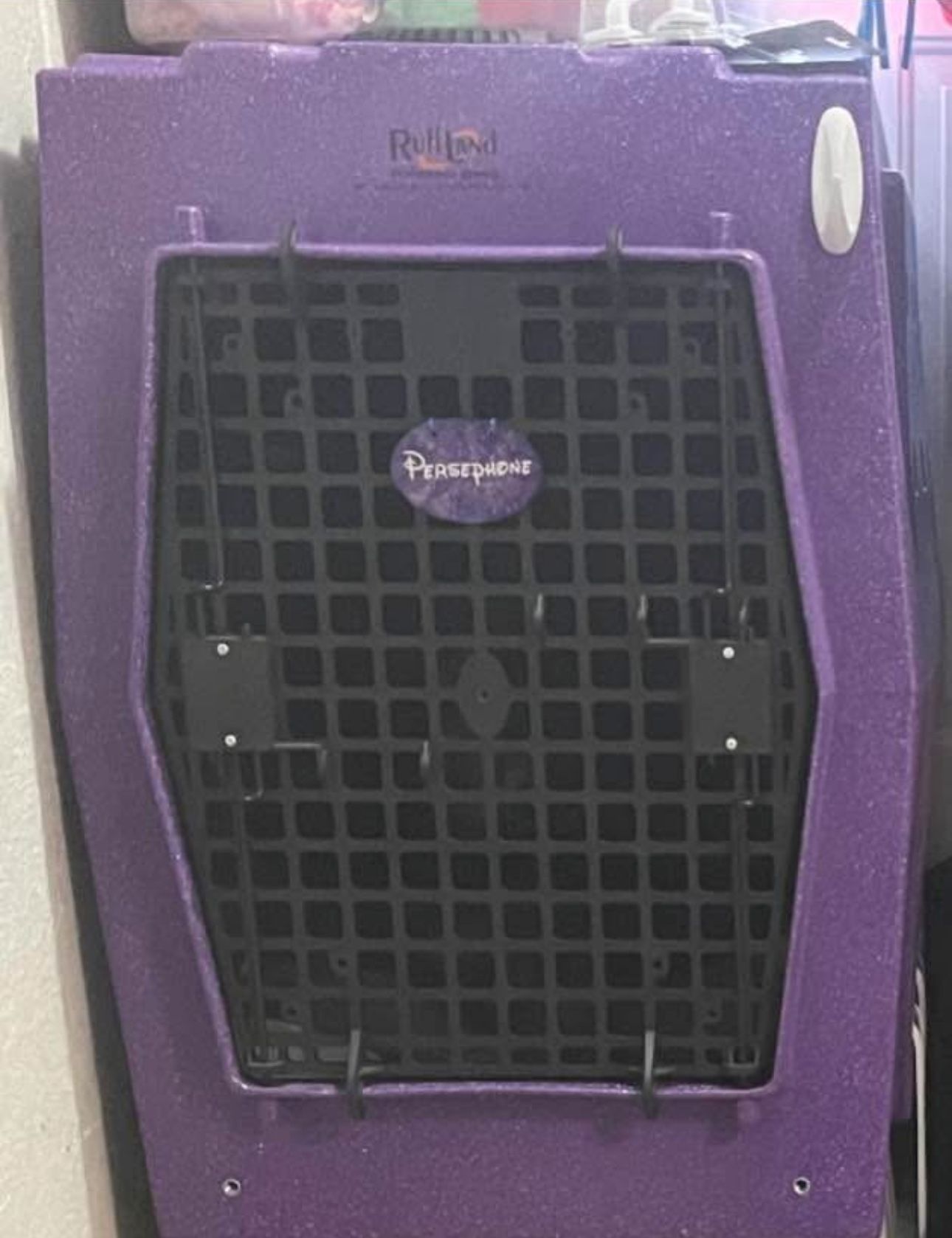 Xl Purple Single Door Ruffland Kennel