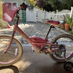 Girls Bicycle - Trek - 20”