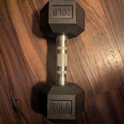 20LB Dumbbell