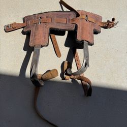 Tree Spike
