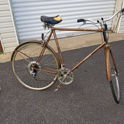 Raleigh 10 Speed Cruiser For Parts Or Repair 