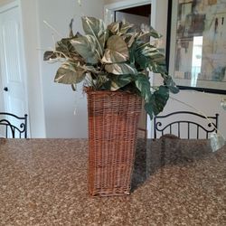 Decorative, Artificial, Plant, Plants 