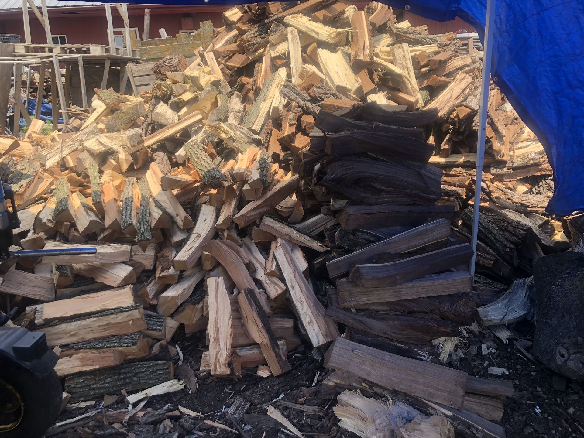 Firewood