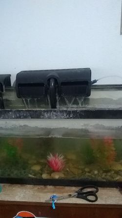 25 gallon aquarium fish tank