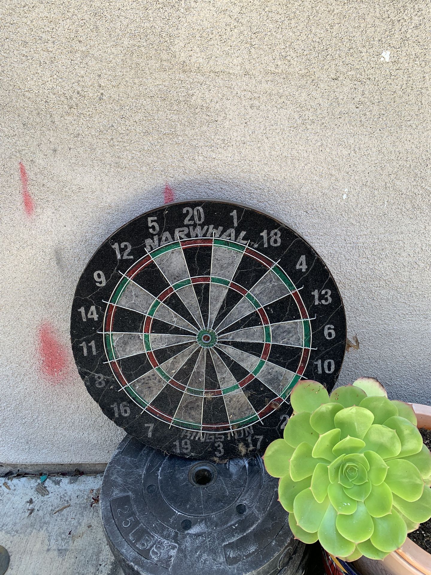 Dart Board