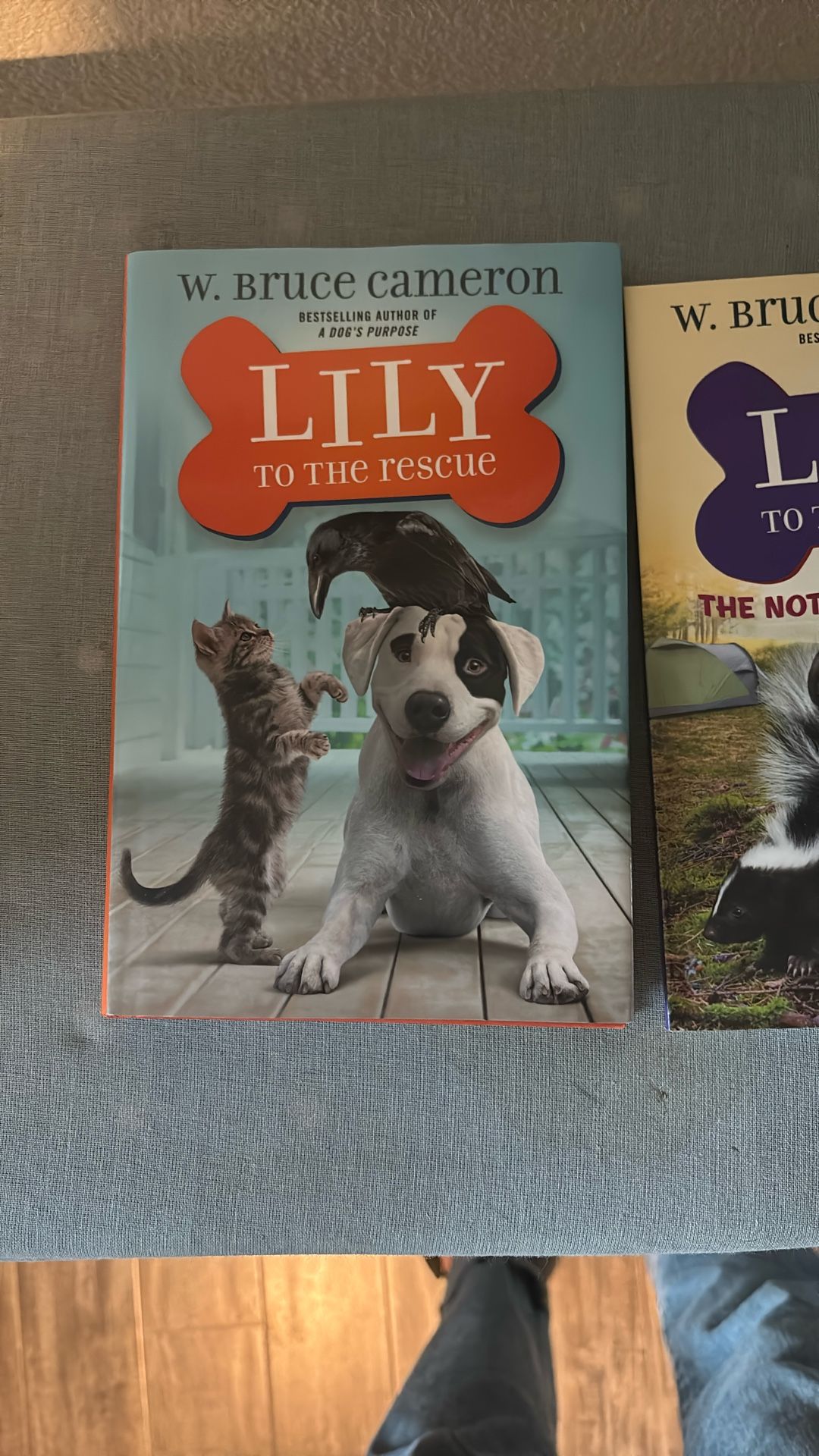 Lily To The Rescue Books