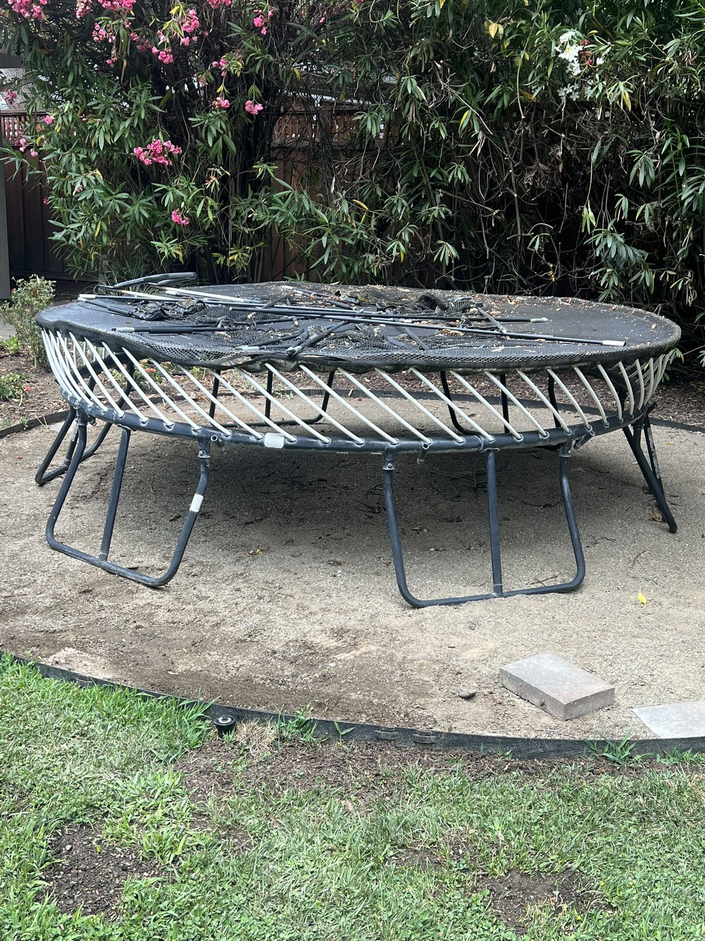 Trampoline 