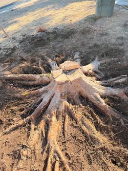 Trunk remove