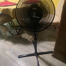 Fan 