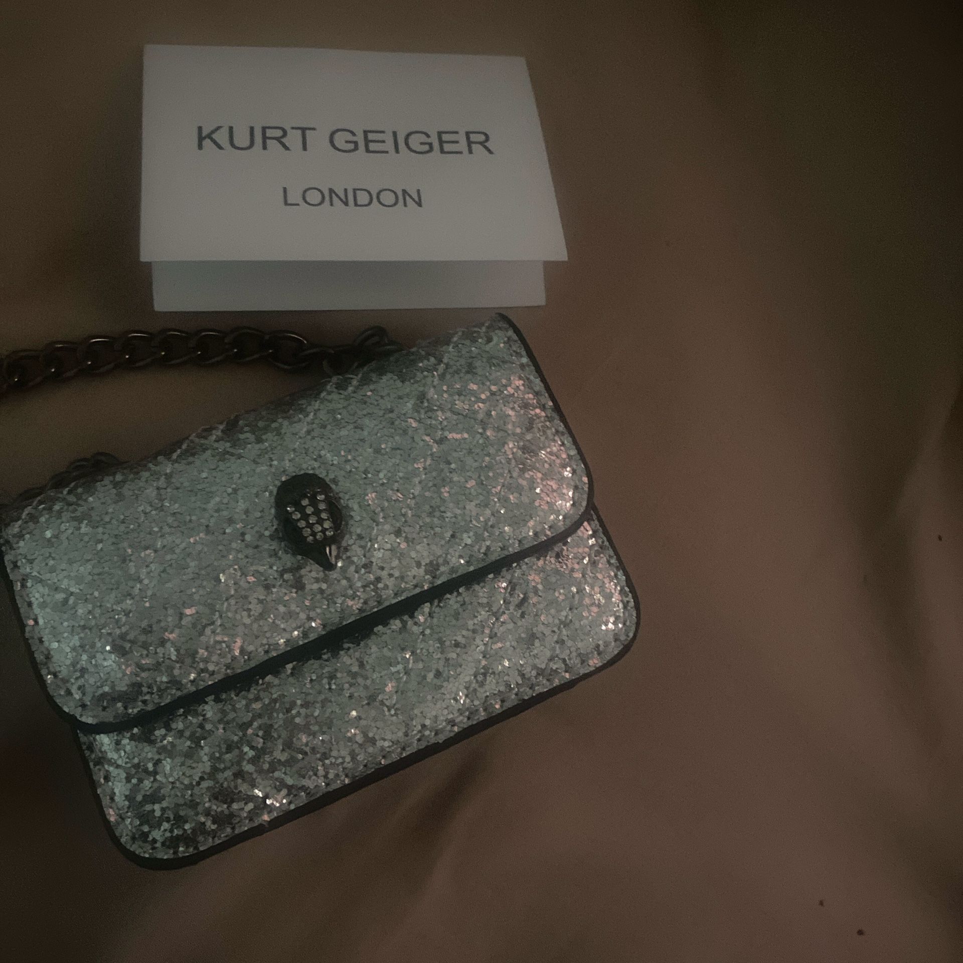 Mini silver kurt geiger purse 
