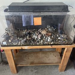 40 Gallon Acrylic Fish Tank And Stand