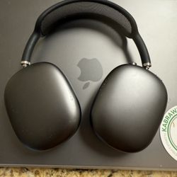 Apple Headphones 