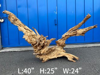 Natural Driftwood and Spiderwood for Aquarium Decor/Hardscape