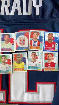Panini World Cup Stickers