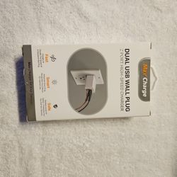 Dual Ubs Wall Plug 